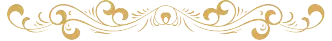 Section Logo